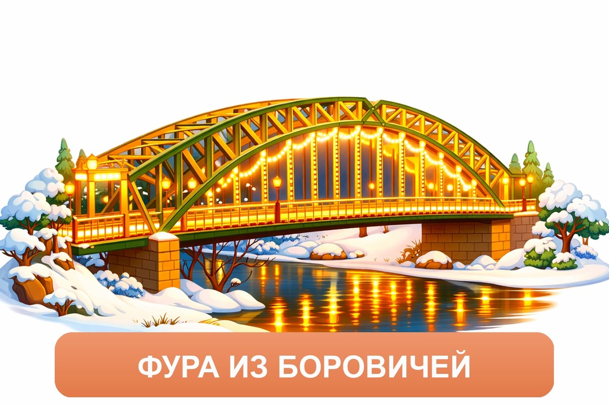 Заказ доставки грузов из Боровичей в Брянск ТК «Росперевозки», фотография 01