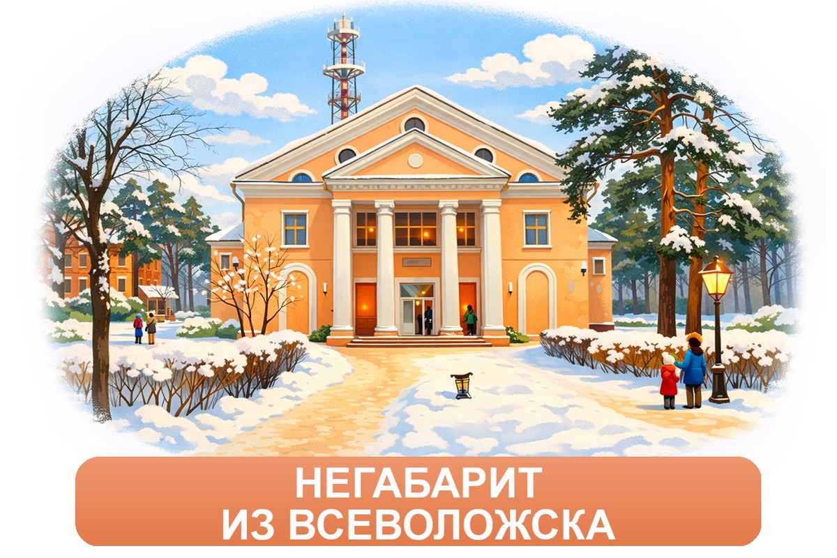 Заказ доставки грузов из Всеволожска в Самару ТК «Росперевозки», фотография 01
