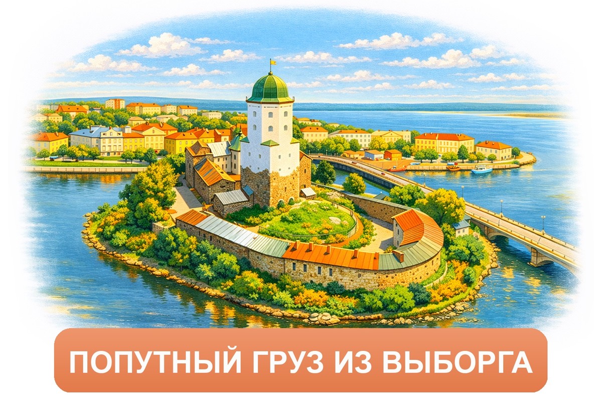 Заказ доставки грузов из Выборга в Зарайск ТК «Росперевозки», фотография 01