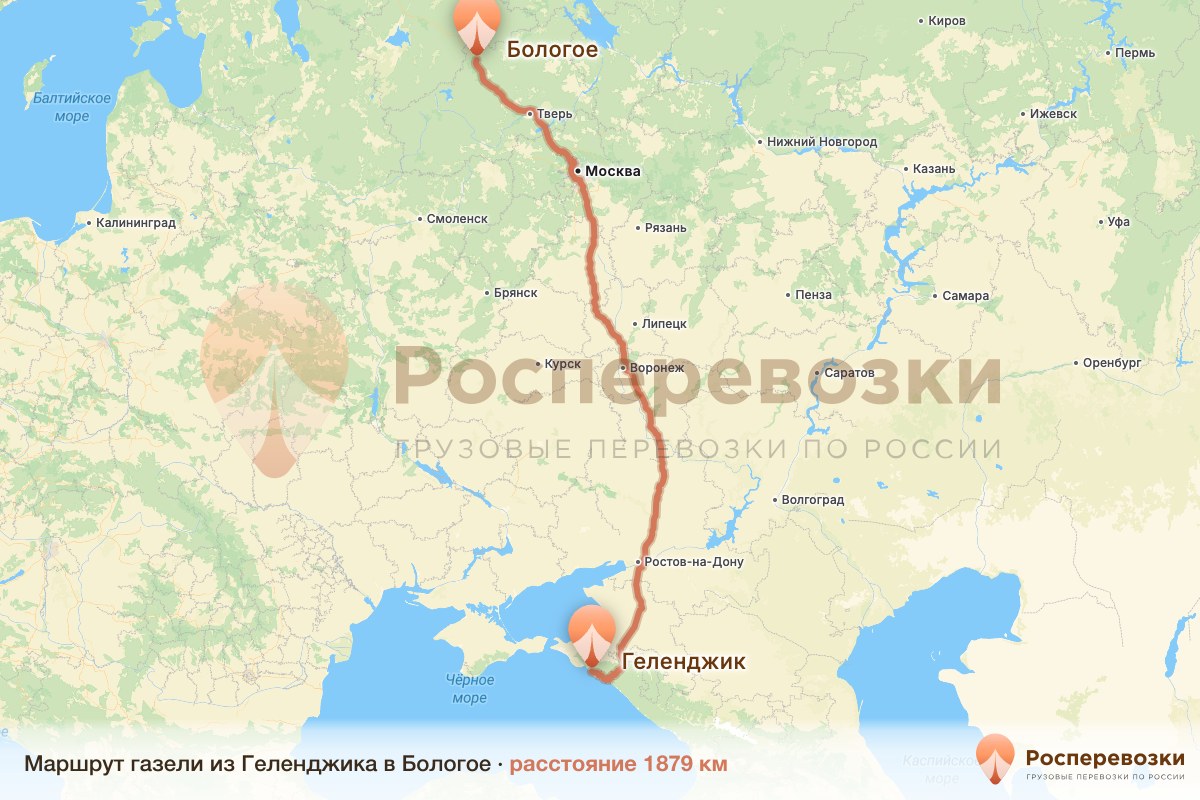 Газель Геленджик Бологое