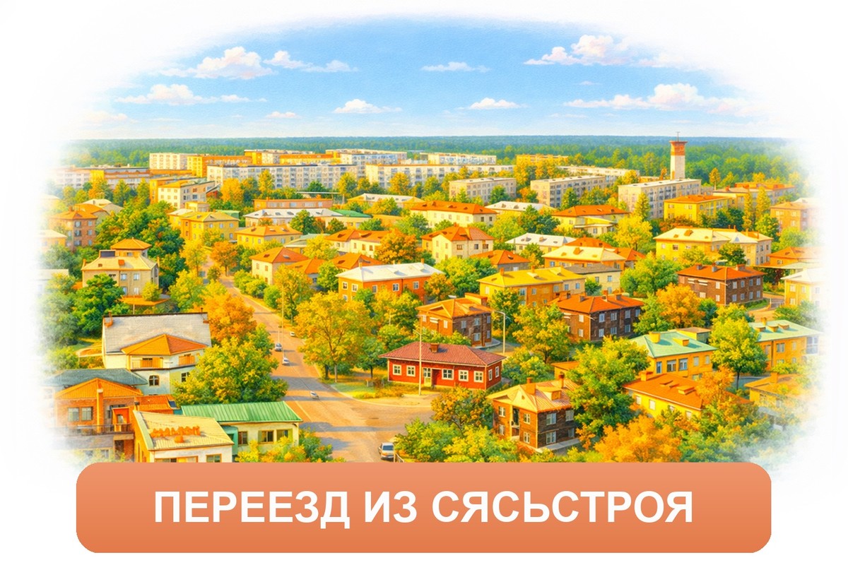 Заказ доставки грузов из Сясьстроя в Ханты-Мансийск ТК «Росперевозки», фотография 01