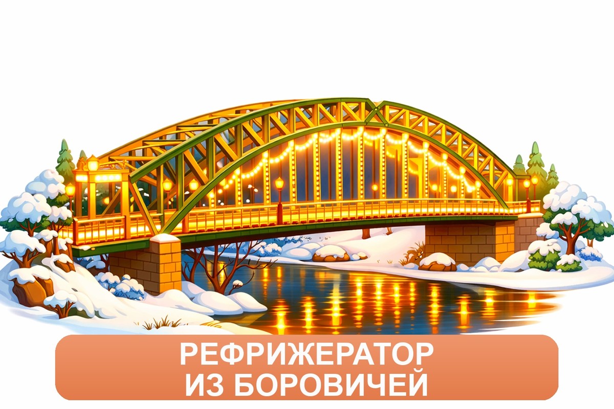 Заказ доставки грузов из Боровичей в Дмитров ТК «Росперевозки», фотография 01