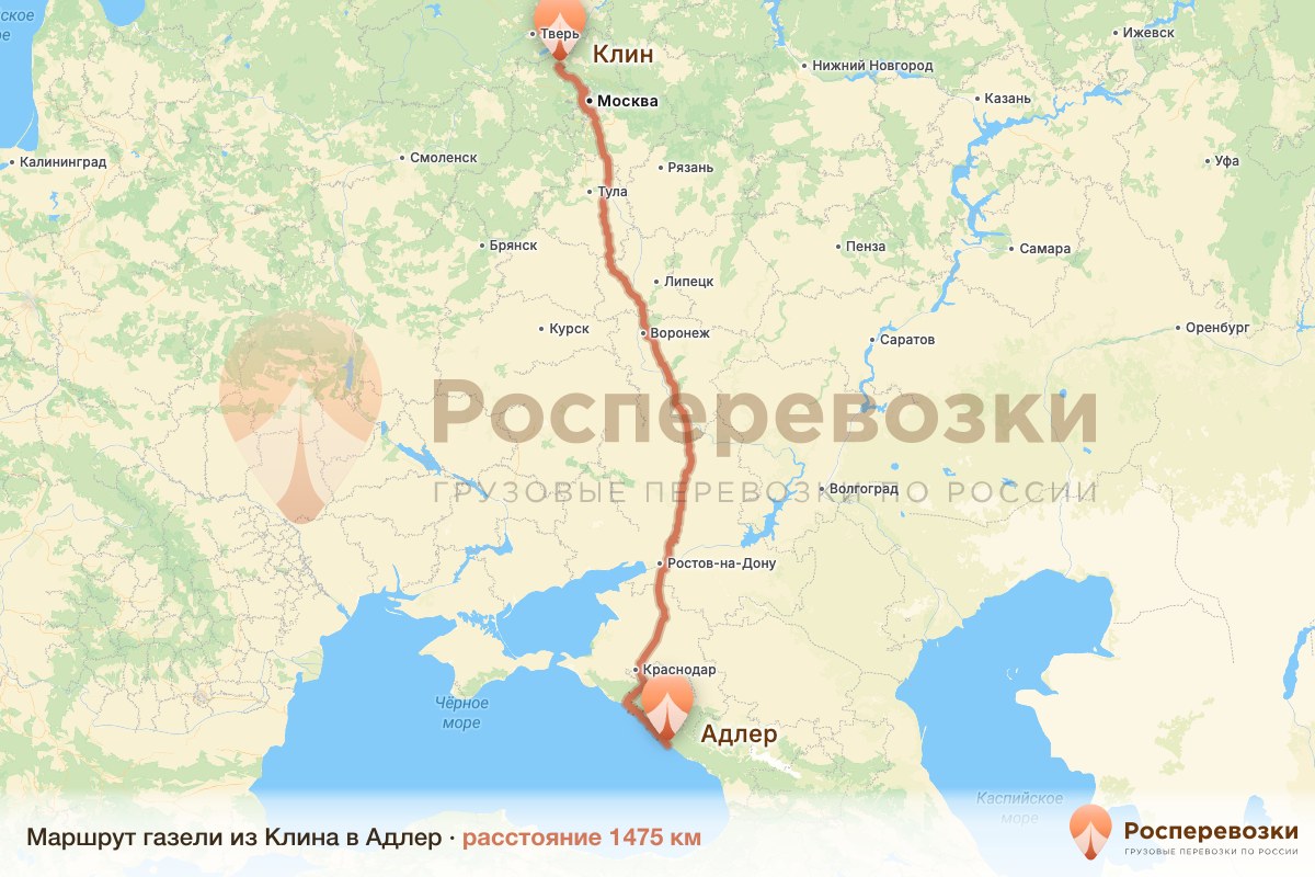 Газель Клин Адлер