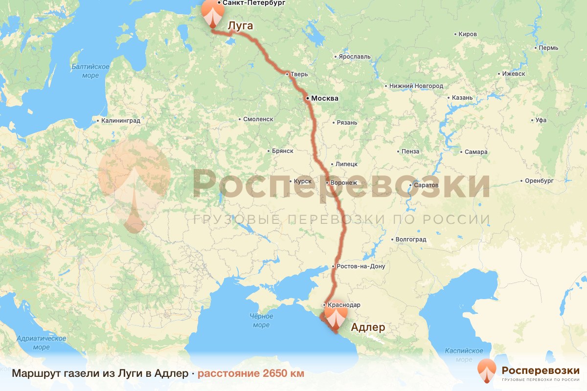 Газель Луга Адлер