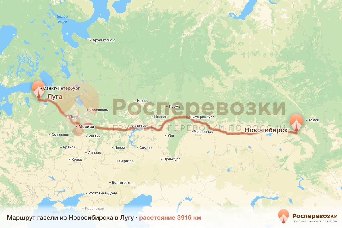 Газель Новосибирск Луга