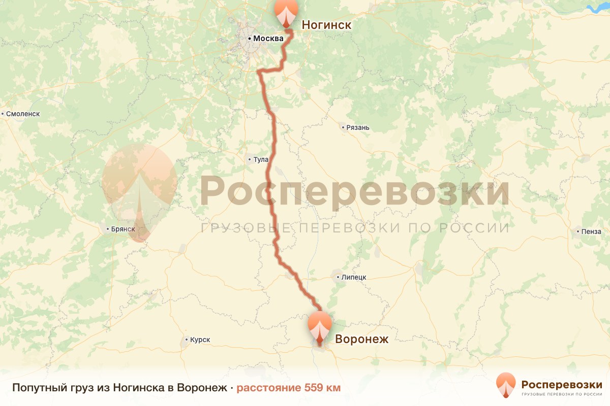 Попутный груз Ногинск Воронеж