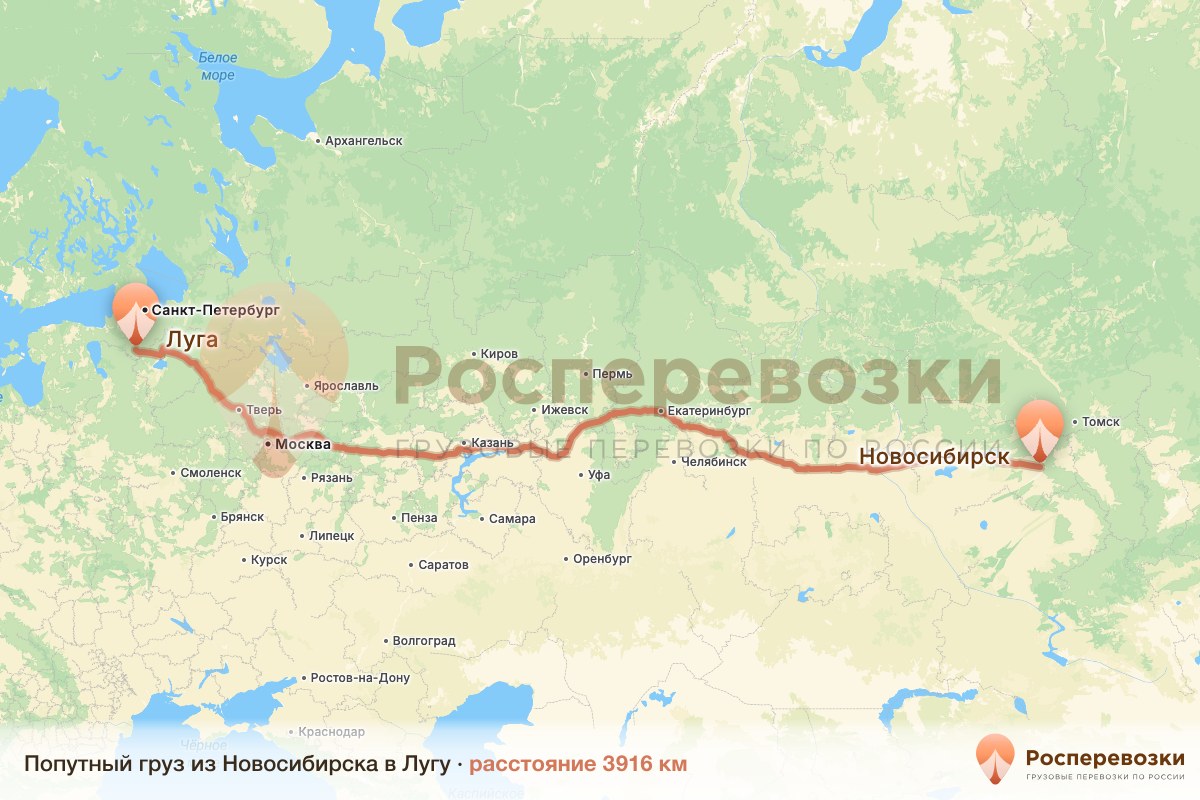 Попутный груз Новосибирск Луга