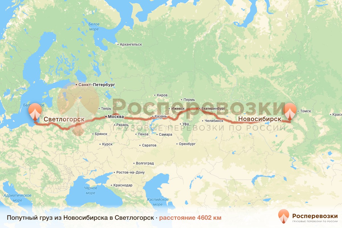 Попутный груз Новосибирск Светлогорск