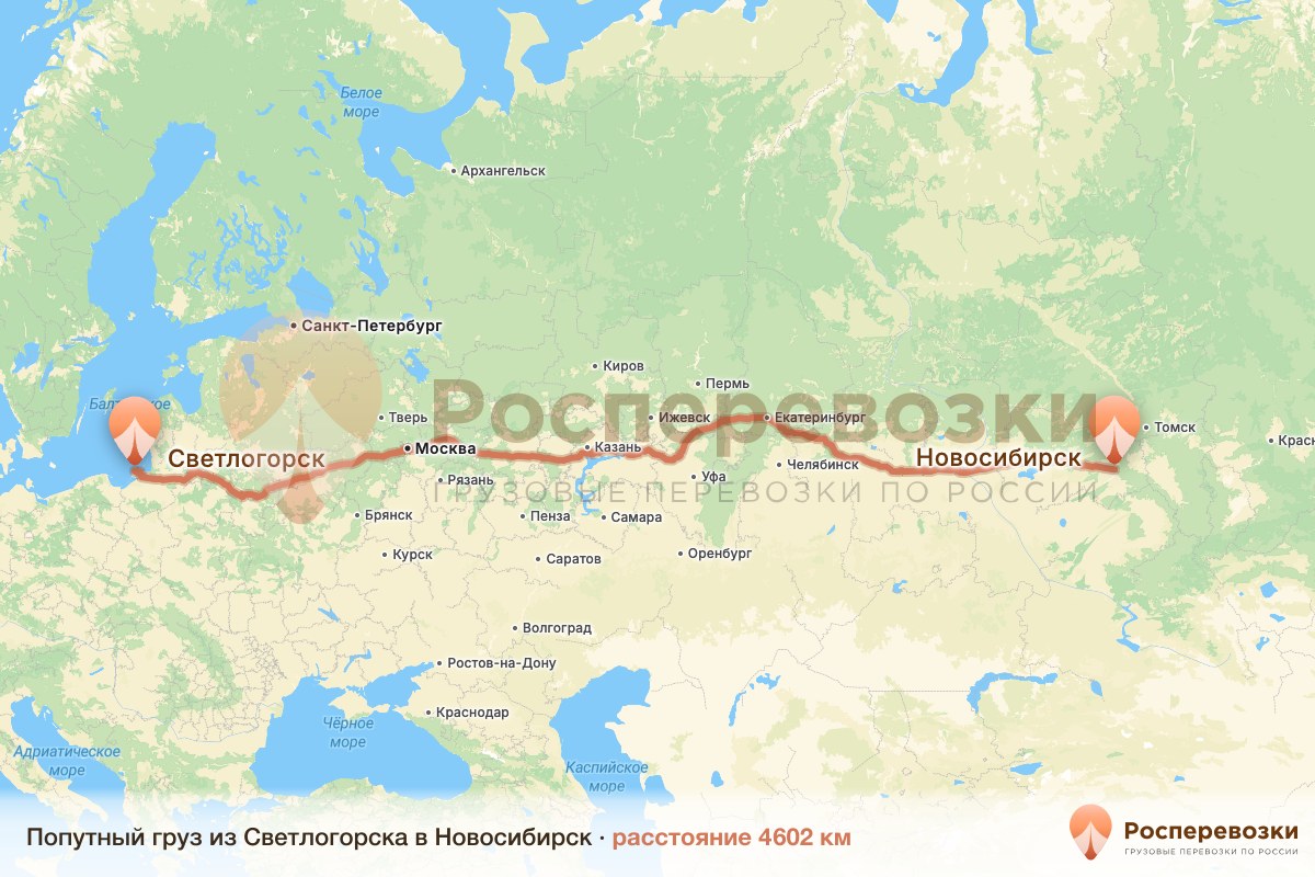 Попутный груз Светлогорск Новосибирск